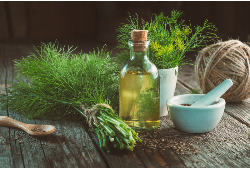 accompagnement michele andre naturipathe fonctionnelle nice